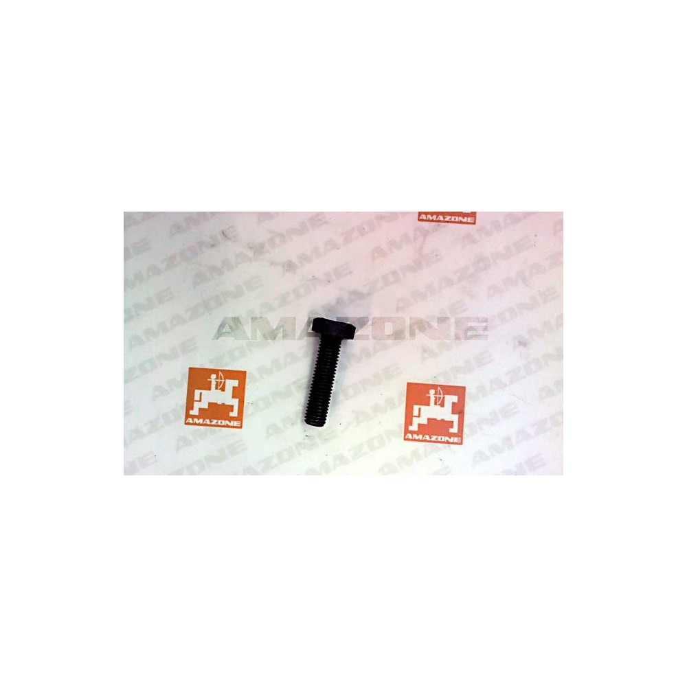 Vis 10 X 40 DC070 Amazone