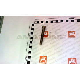 Vis 10X 70 4017 8.8 A2G DC080 Amazone