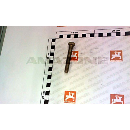 VIS 10X 70 4017 8.8 A2G Réf. DC080 AMAZONE VIS 10X 70 4017 8.8 A2G Réf. DC080 AMAZONE