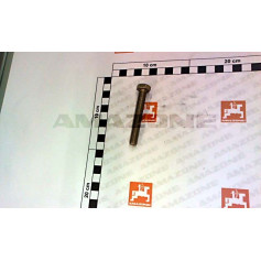 VIS 10X 70 4017 8.8 A2G Réf. DC080 AMAZONE VIS 10X 70 4017 8.8 A2G Réf. DC080 AMAZONE