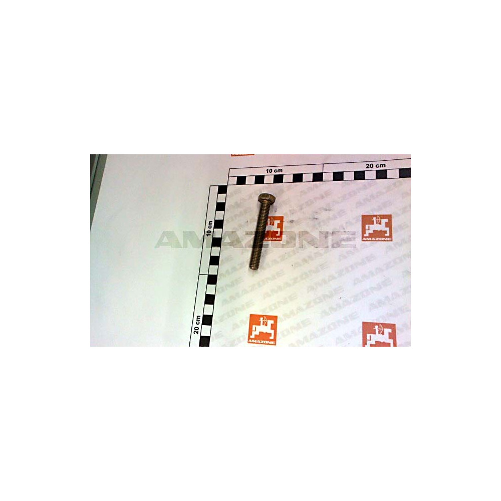 Vis 10X 70 4017 8.8 A2G DC080 Amazone