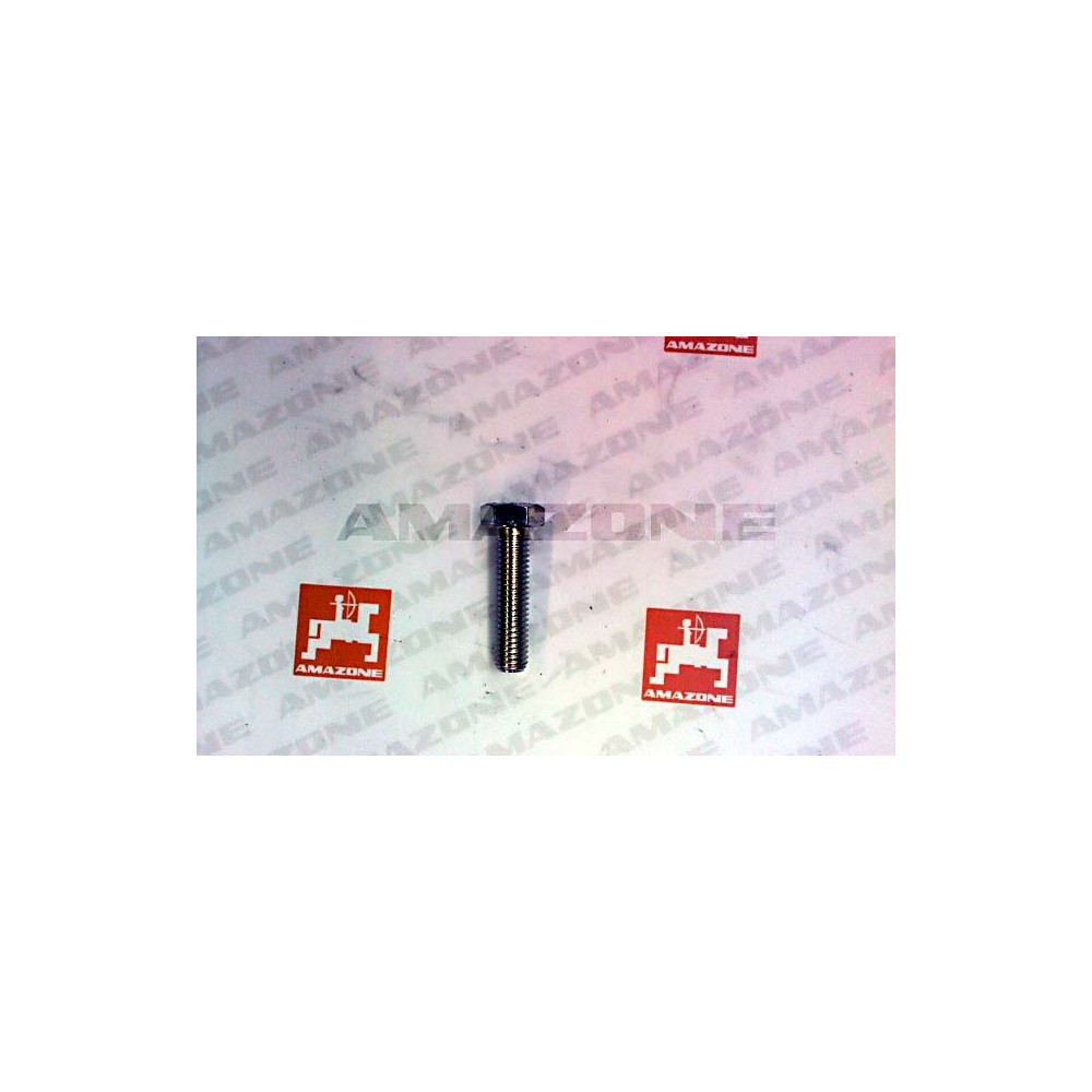 Vis 10X 40 4017 8.8 A2G DC071 Amazone