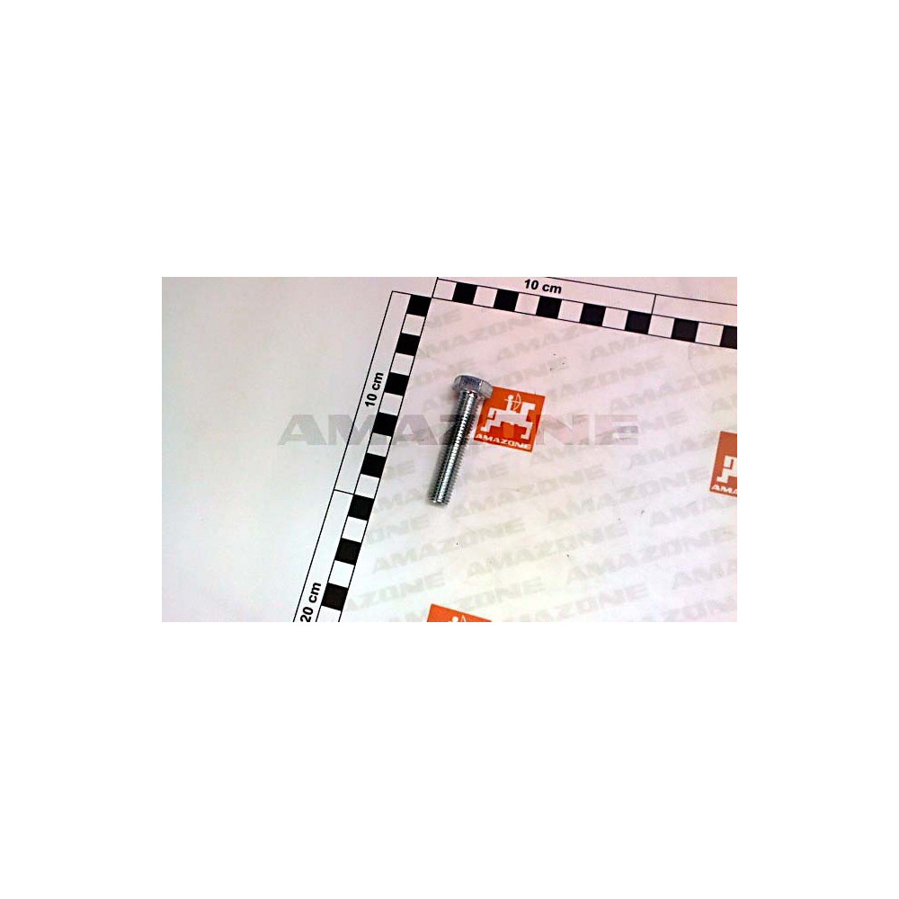 Vis 10X 50 4017 8.8 A2G DC075 Amazone