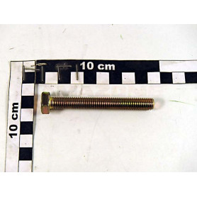 Vis 10X 80 4017 8.8 A2G DC082 Amazone