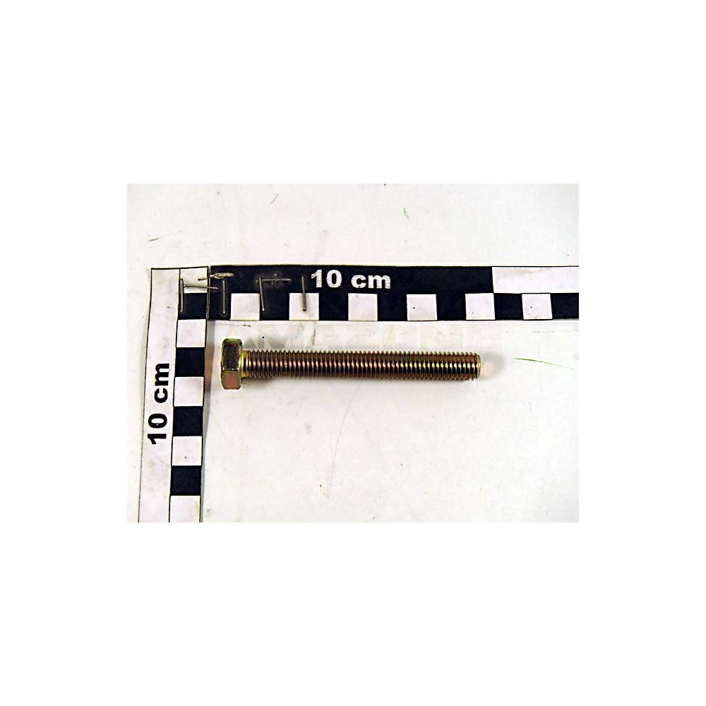 Vis 10X 80 4017 8.8 A2G DC082 Amazone