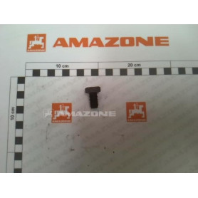 Vis 12X 20 4017 8.8 DC086 Amazone