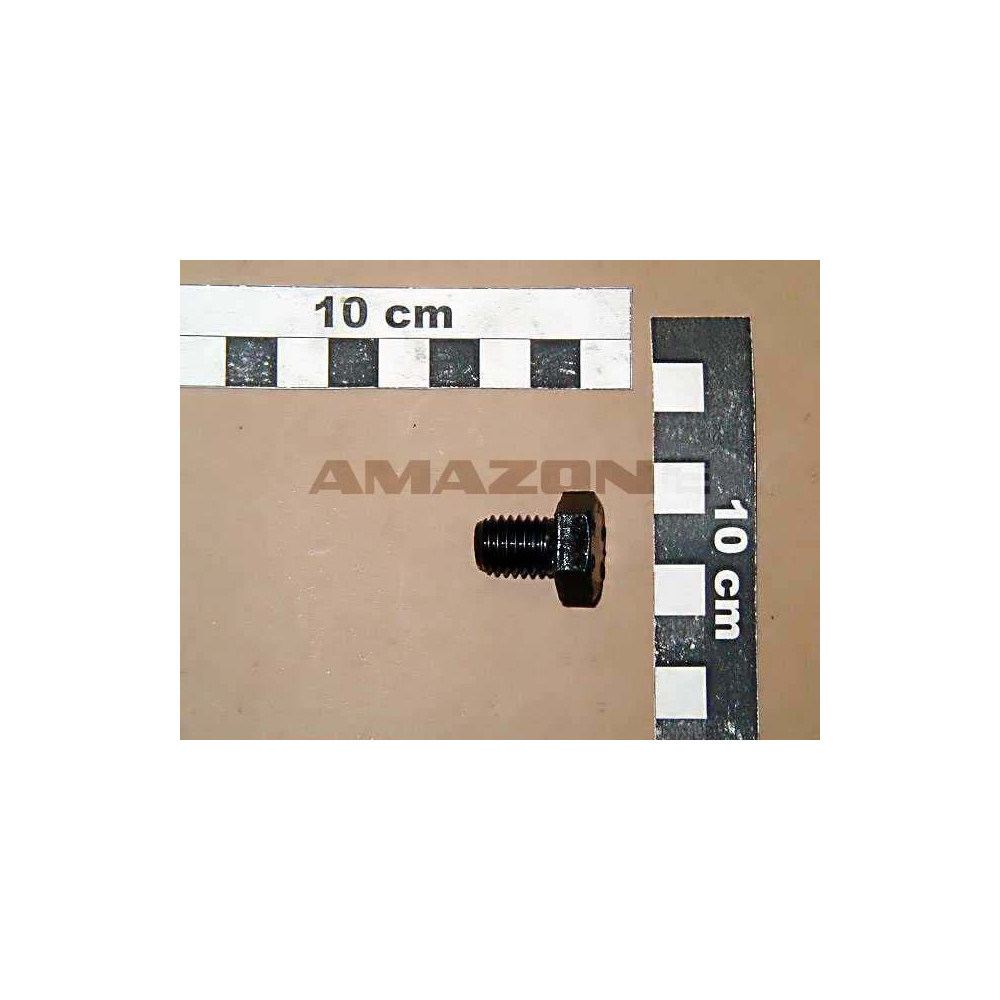 Vis 12X 16 4017 8.8 DC085 Amazone