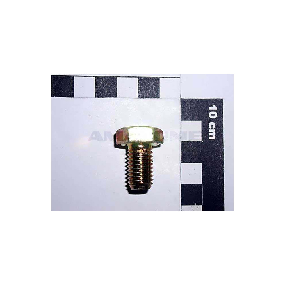 Vis 12X 20 4017 8.8 A2G DC087 Amazone