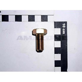 Vis 12X 25 4017 8.8 A2G DC090 Amazone