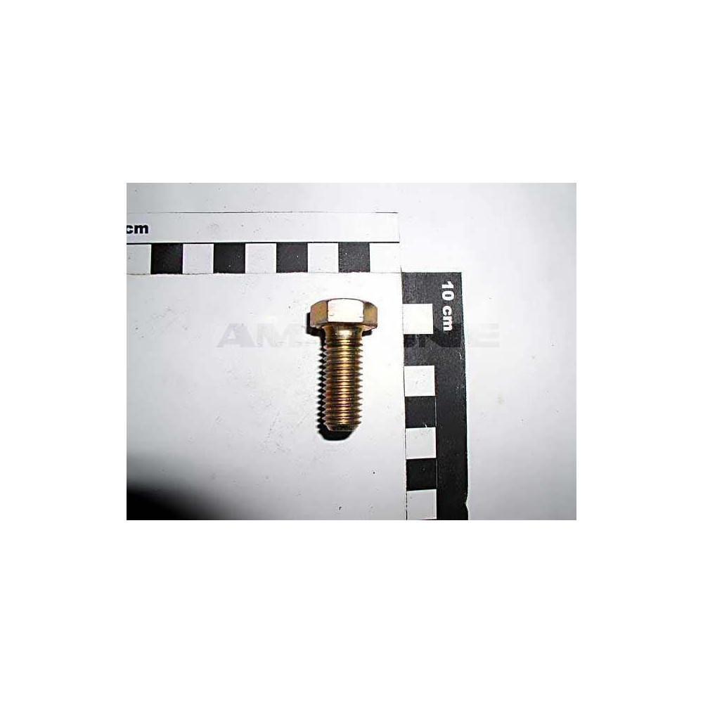 Vis 12X 30 4017 8.8 A2G DC093 Amazone