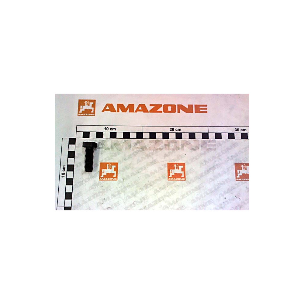 Vis 12X 35 4017 8.8 DC094 Amazone