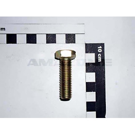 Vis 12X 40 4017 8.8 A2G DC097 Amazone