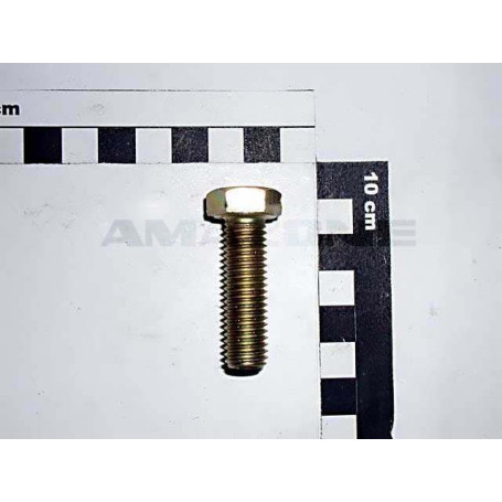 VIS 12X 40 4017 8.8 A2G Réf. DC097 AMAZONE VIS 12X 40 4017 8.8 A2G Réf. DC097 AMAZONE
