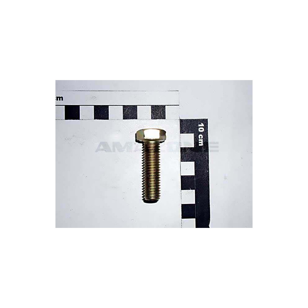 Vis 12X 40 4017 8.8 A2G DC097 Amazone