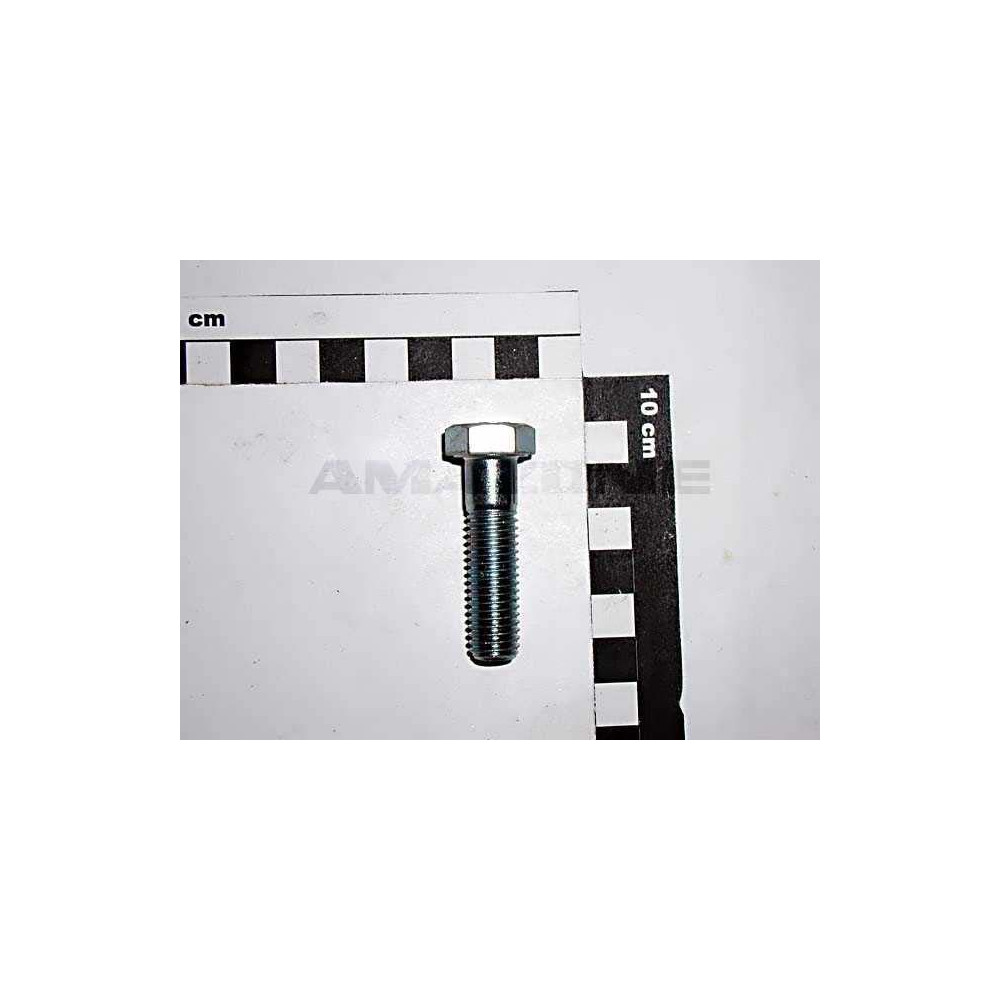 Vis 12X 45 4017 8.8 A2G DC101 Amazone