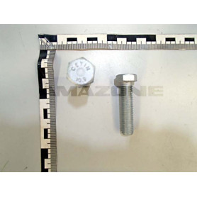 Vis 12X 50 4017 10.9 FLZNL-480 DC103 Amazone