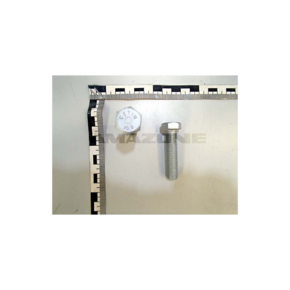 Vis 12X 50 4017 10.9 FLZNL-480 DC103 Amazone