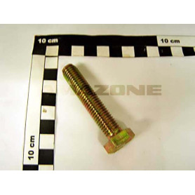 Vis 12X 60 4017 8.8 A2G DC105 Amazone