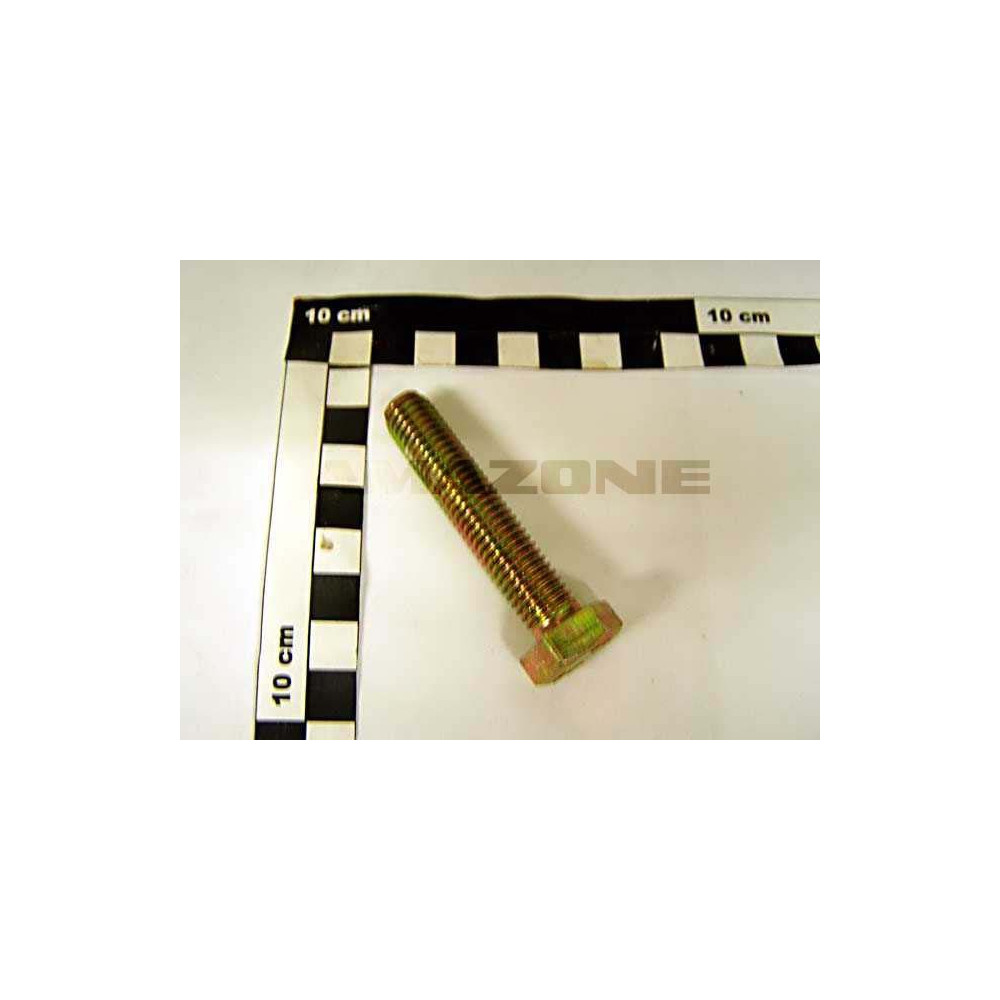Vis 12X 60 4017 8.8 A2G DC105 Amazone