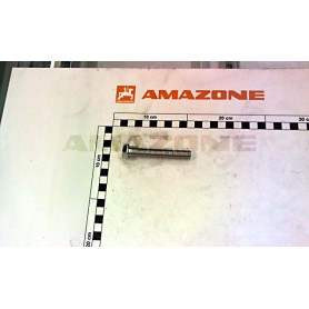 Vis 12X 80 4017 8.8 A2G DC107 Amazone