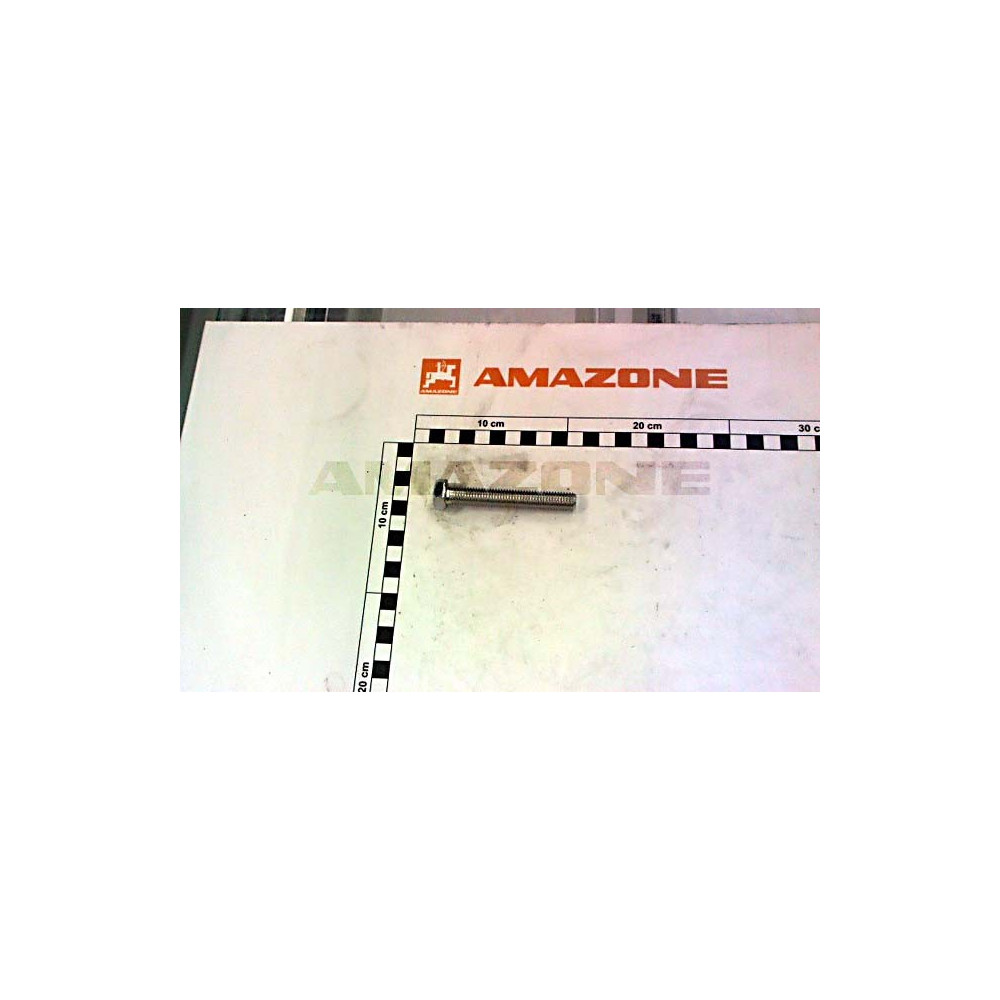 Vis 12X 80 4017 8.8 A2G DC107 Amazone