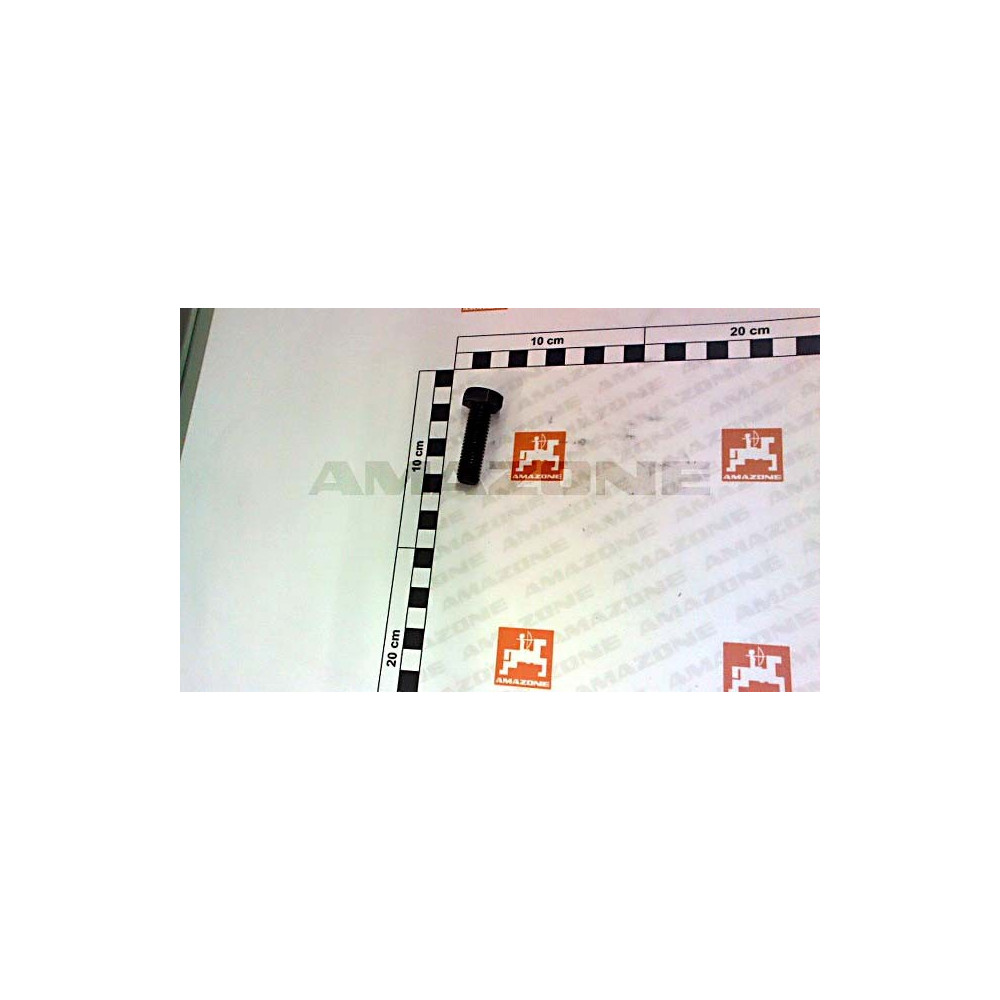 Vis 12X 40 4017 10.9 DC098 Amazone