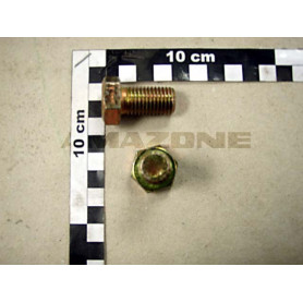 Vis 16X 30 4017 8.8 A2G DC120 Amazone