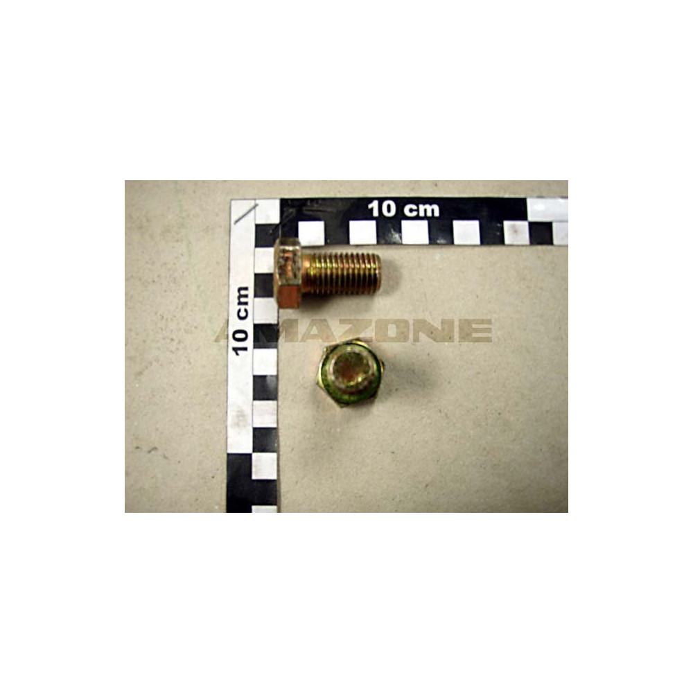 Vis 16X 30 4017 8.8 A2G DC120 Amazone