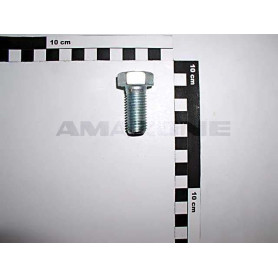 Vis 16X 35 4017 8.8 A2G DC122 Amazone