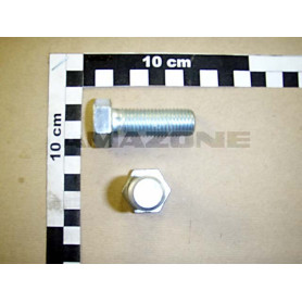 Vis 16X 45 4017 8.8 A2G DC126 Amazone