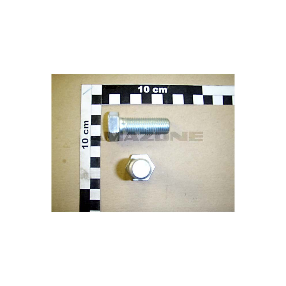 Vis 16X 45 4017 8.8 A2G DC126 Amazone