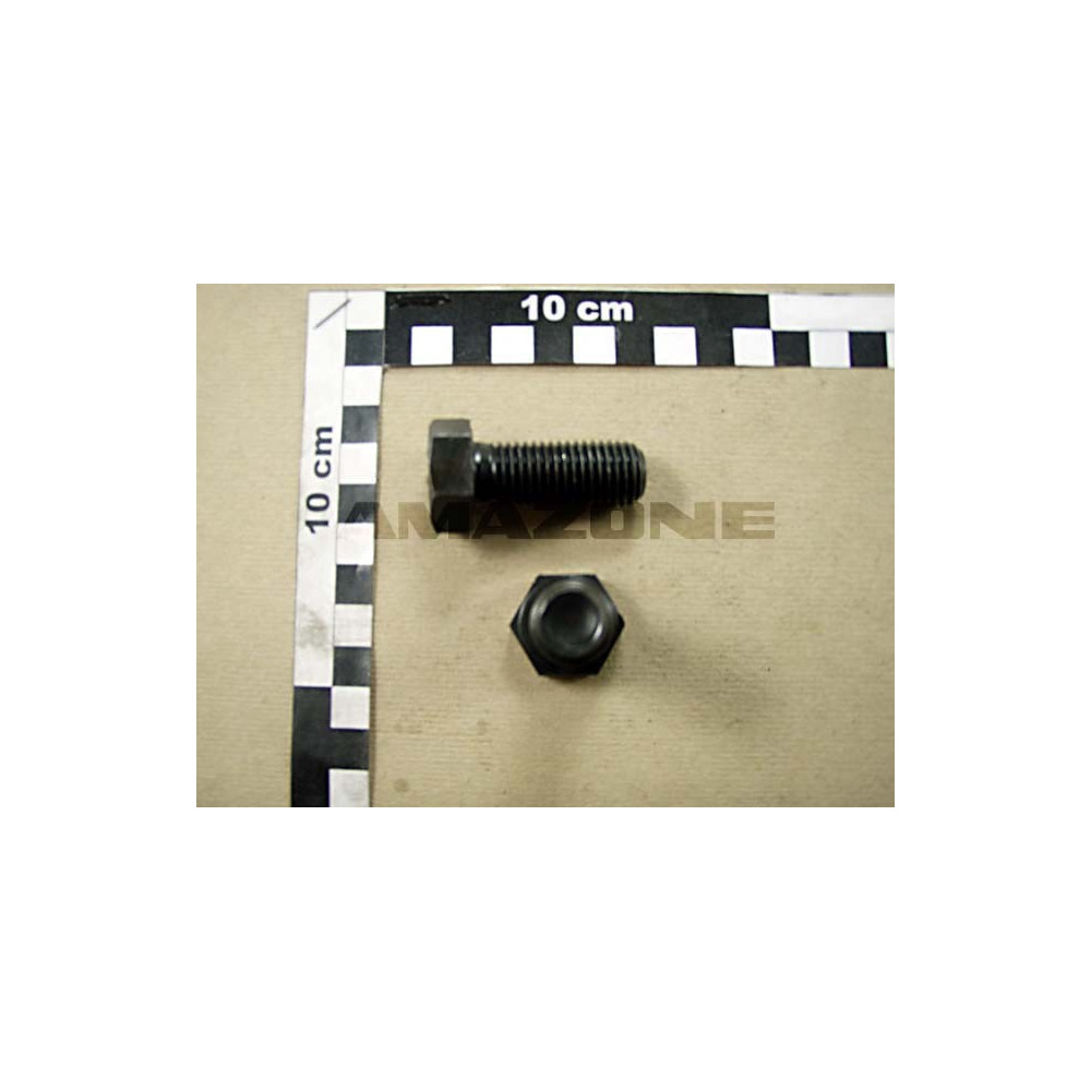 Vis 16X 40 4017 8.8 DC123 Amazone