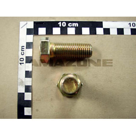 Vis 6 pans 20X55 8.8 cayena DC142 Amazone