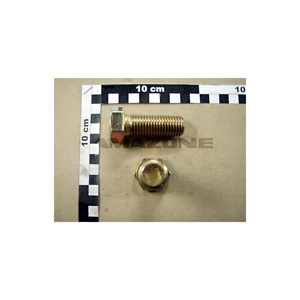 Vis 6 pans 20X55 8.8 cayena DC142 Amazone