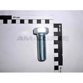 Vis 20X 60 4017 8.8 A2G DC144 Amazone
