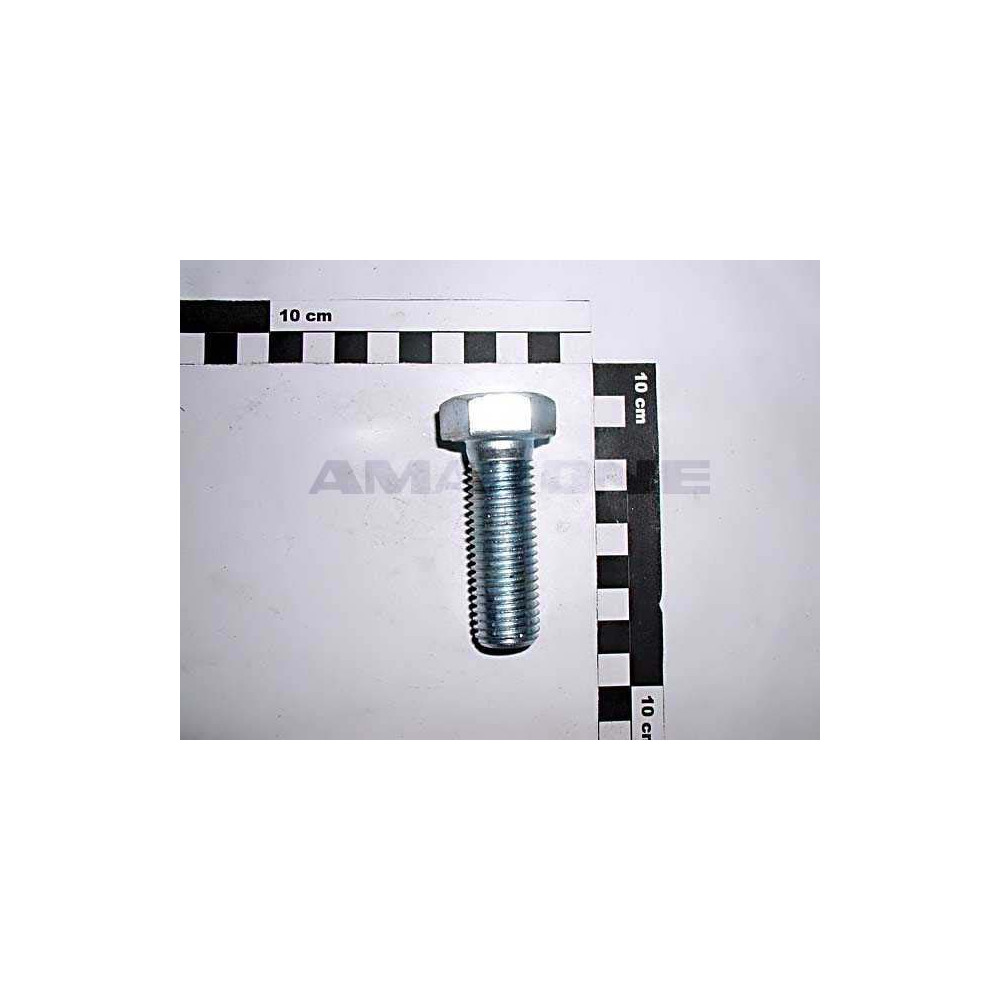 Vis 20X 60 4017 8.8 A2G DC144 Amazone