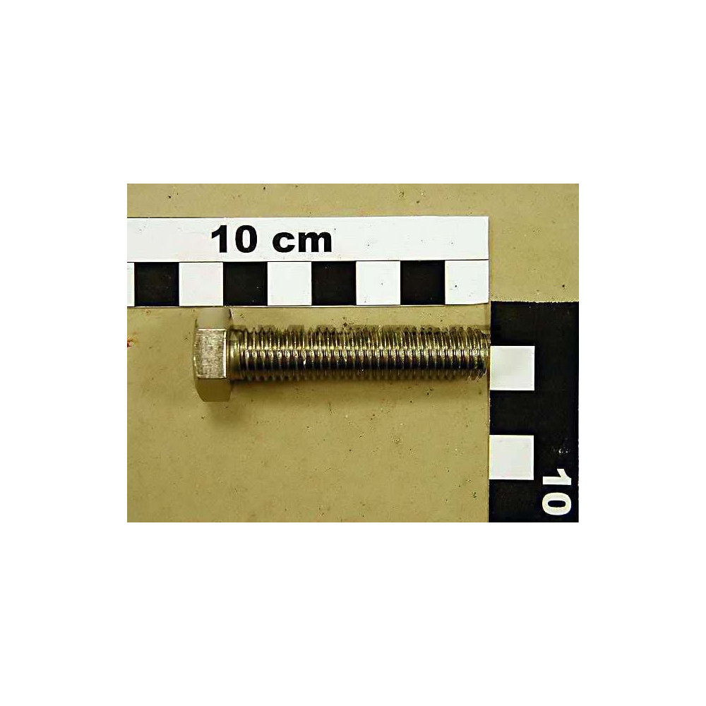 Vis 12X 55 4017 A2-70 DC147 Amazone