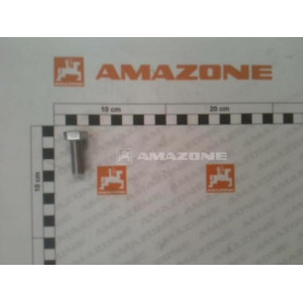Vis 12X 30 4017 A2-70 DC152 Amazone