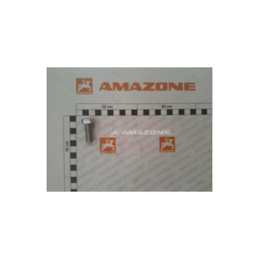 Vis 12X 30 4017 A2-70 DC152 Amazone