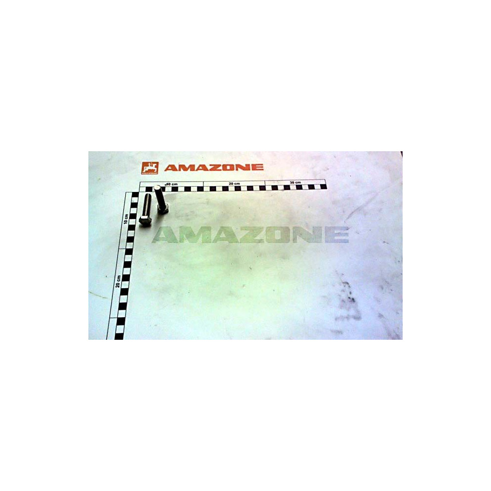Vis 10X 45 4017 A2-70 DC153 Amazone