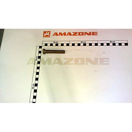 Vis 12X70 8.8 SHR 4017 Réf. DC154 - AMAZONE Vis 12X70 8.8 SHR 4017 Réf. DC154 - AMAZONE