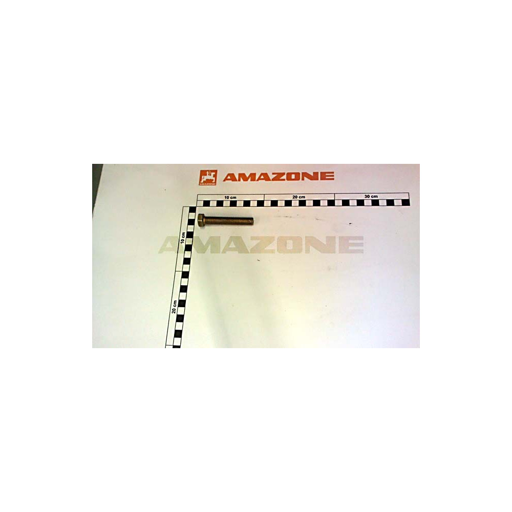 Vis 12X70 8.8 SHR 4017 DC154 Amazone