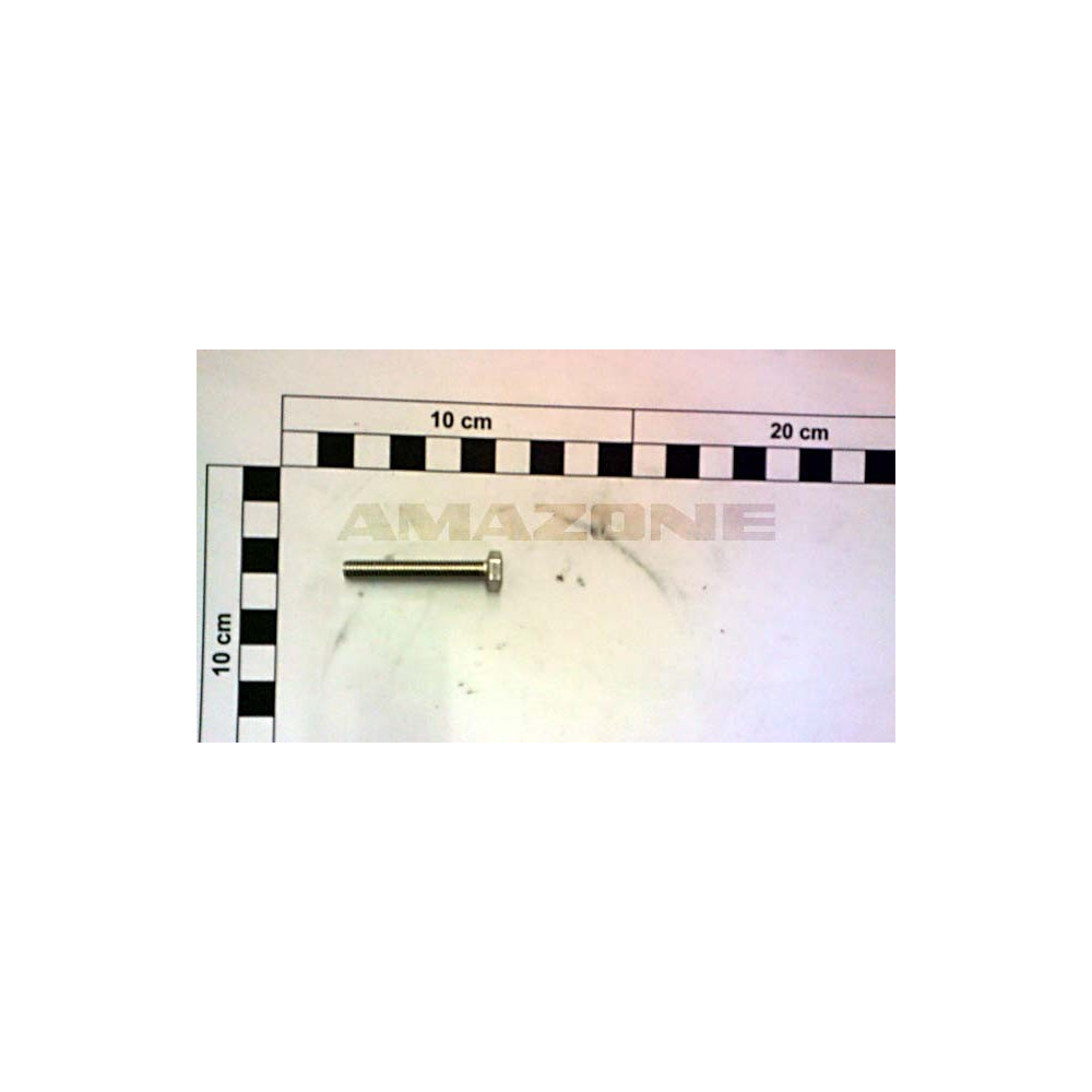 Vis 06X 40 4017 A2-70 DC165 Amazone