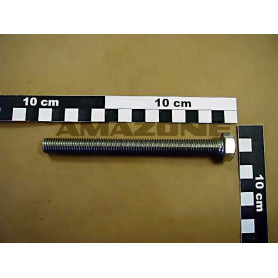 Vis 12X130 4017 A2-70 DC167 Amazone
