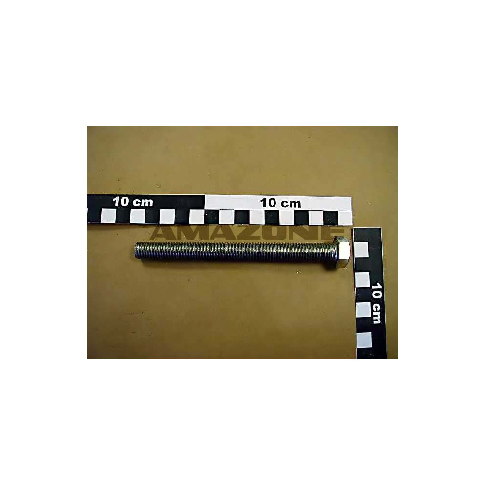 Vis 12X130 4017 A2-70 DC167 Amazone
