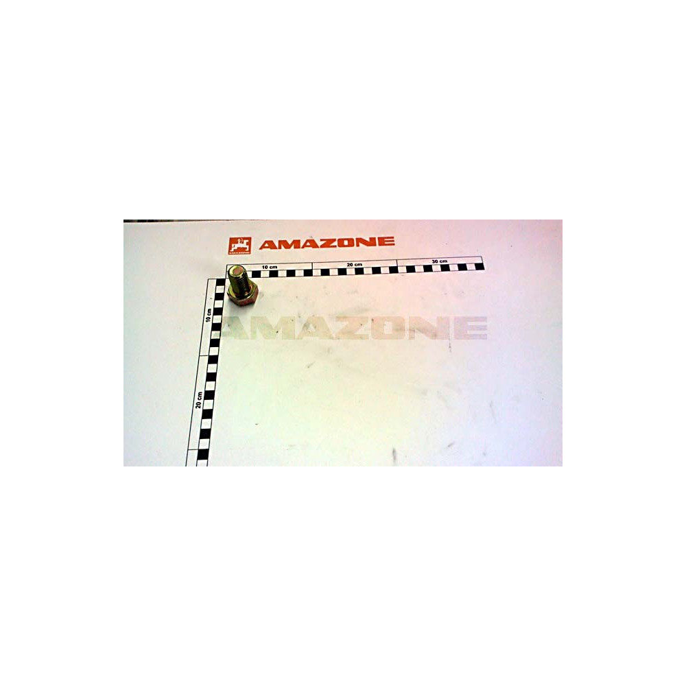 Vis 20X30 8.8 cayros DC175 Amazone