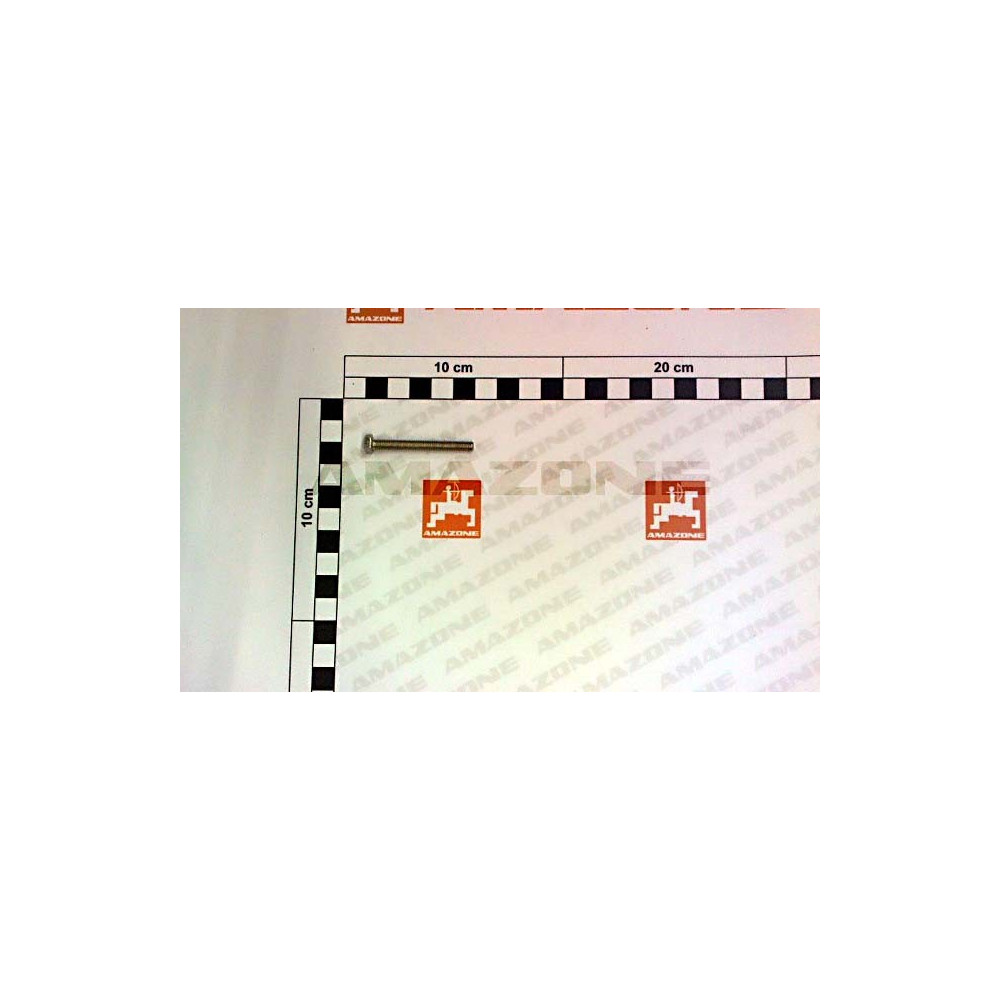 Vis 6 pans 4017 5X 45 8.8 A2G DC176 Amazone