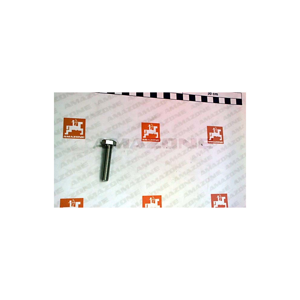 Vis 10X45 8.8 LG DC179 Amazone