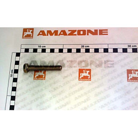 Vis 12X 75 4017 8.8 A2G DC181 Amazone