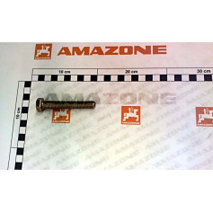 VIS 12X 75 4017  8.8 A2G Réf. DC181 AMAZONE